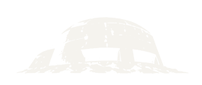 FORT bunker emblem